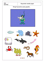 hangi hayvanlar su içinde yaşarlar yaşarlar çalışma sayfaları